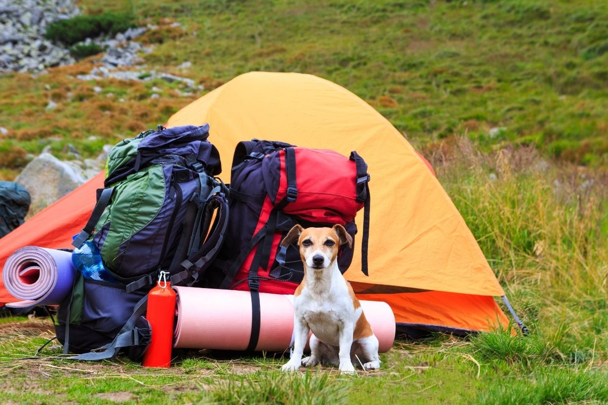 How can I camp cheaply?