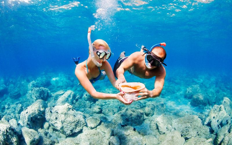What do you need to know before snorkeling?