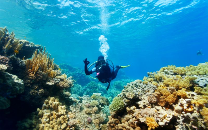 15 places you must scuba dive in the world