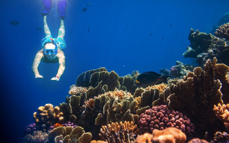 Is scuba diving easier than snorkeling?
