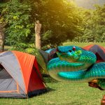 How to avoid snakes while camping