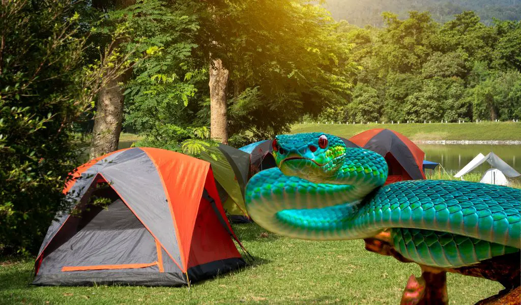 How to avoid snakes while camping