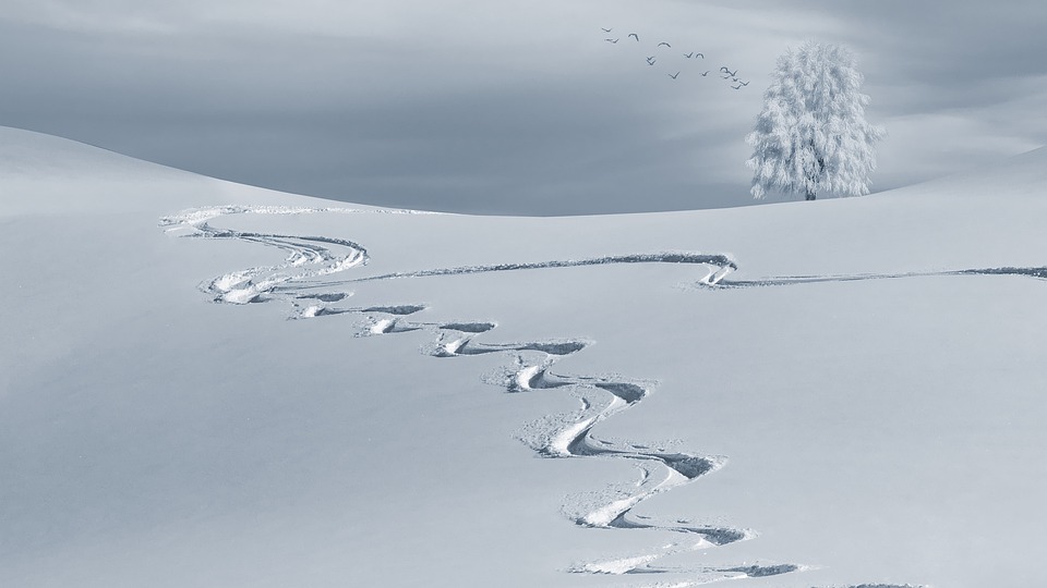 Chasing Powder: The Ultimate Guide to Skiing Paradise