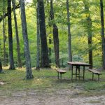 5) Getting Back to Basics: Essential Camping Activities for Beginners