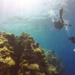 Dive with a Purpose: Engaging in Eco-Conscious Scuba Diving Adventures
