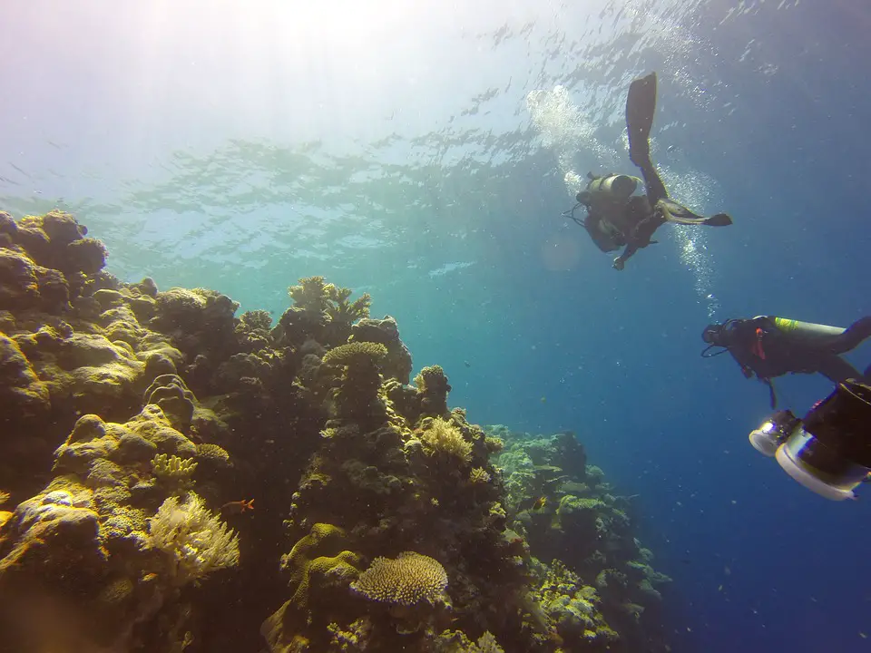 Dive with a Purpose: Engaging in Eco-Conscious Scuba Diving Adventures