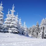 Winter Wonderland: Exploring the Beauty of Skiing in Alpine Regions