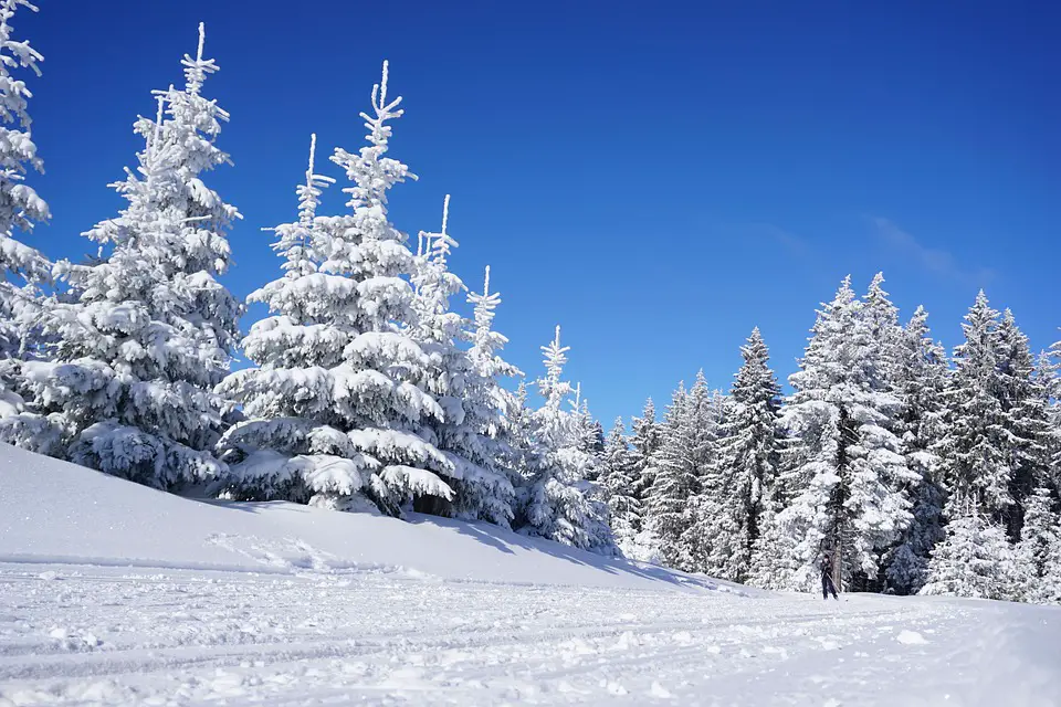 Winter Wonderland: Exploring the Beauty of Skiing in Alpine Regions