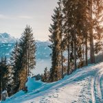 Stay Safe and Have Fun: Top Skiing Tips for the Whole Family