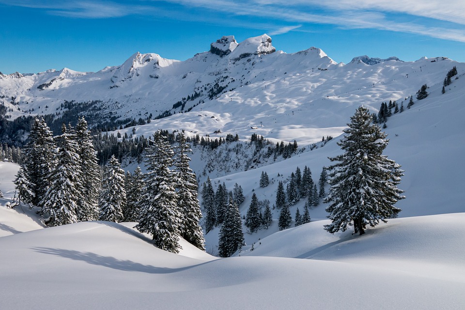 Skiing Safety: How to Stay Protected on the Mountain