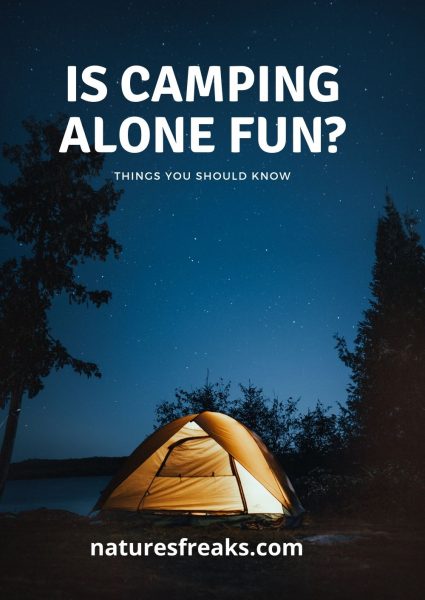 is camping alone fun